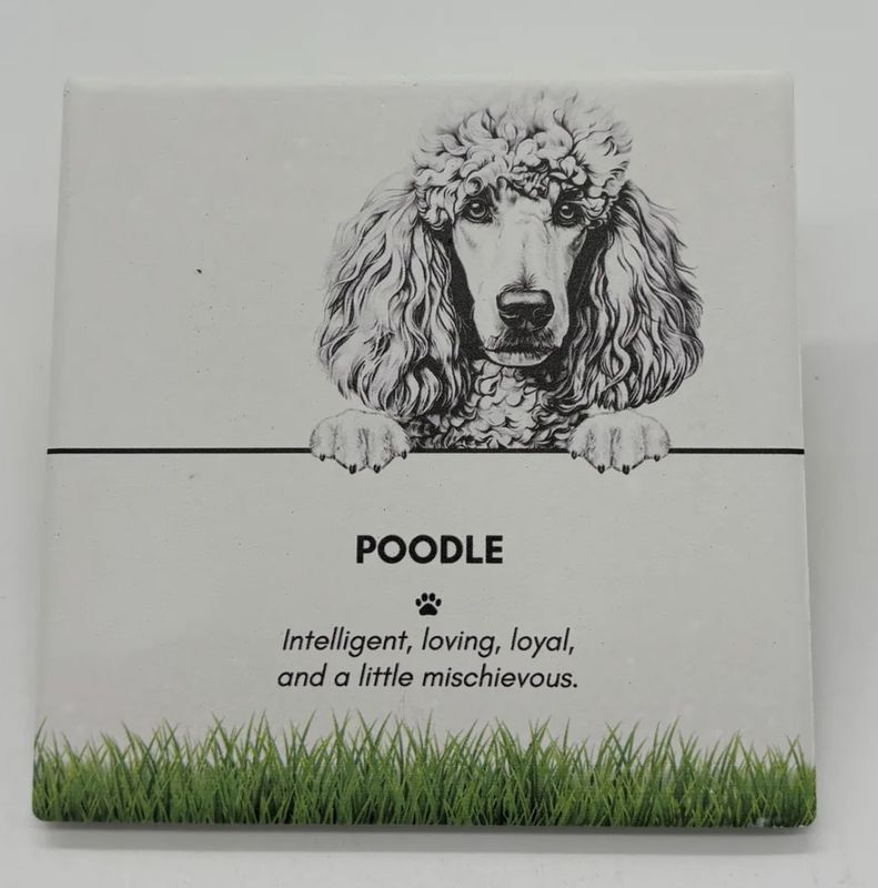 Poodle - Coaster