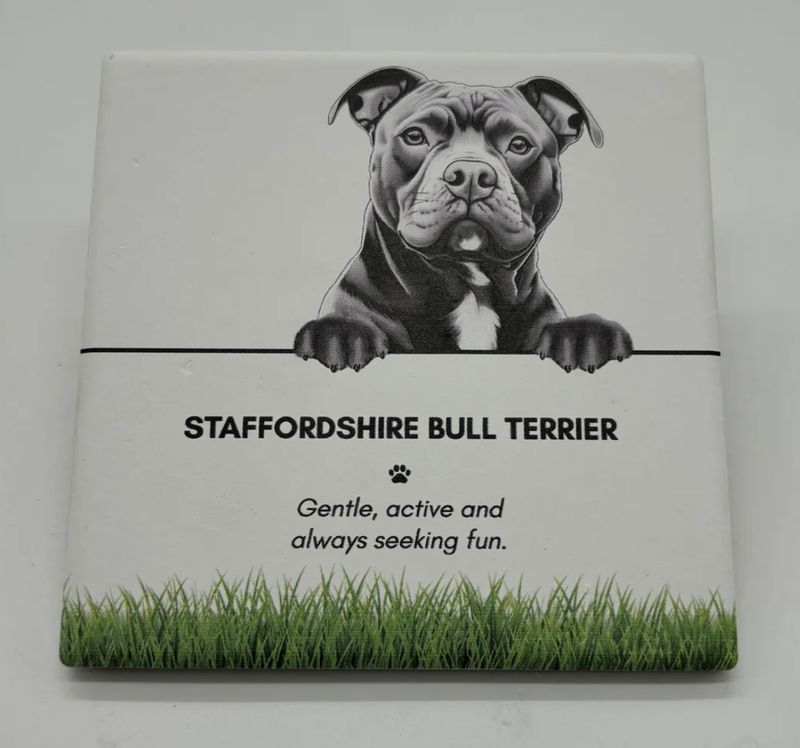 Staffordshire Bull Terrier - Coaster