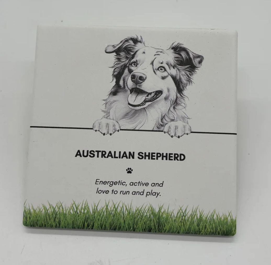 Australian Sheppard - Coaster