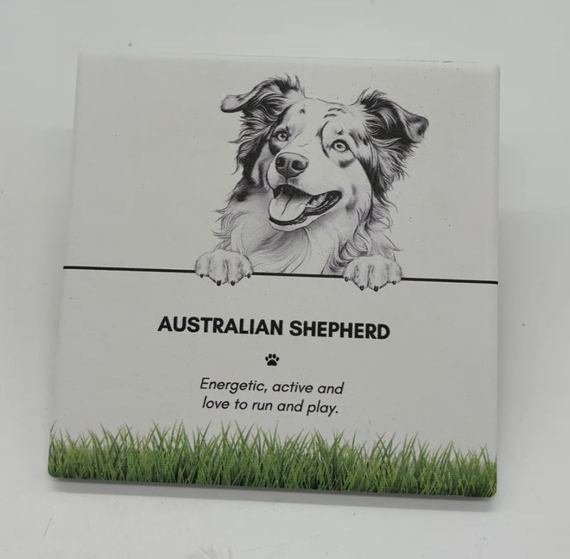 Australian Sheppard - Coaster