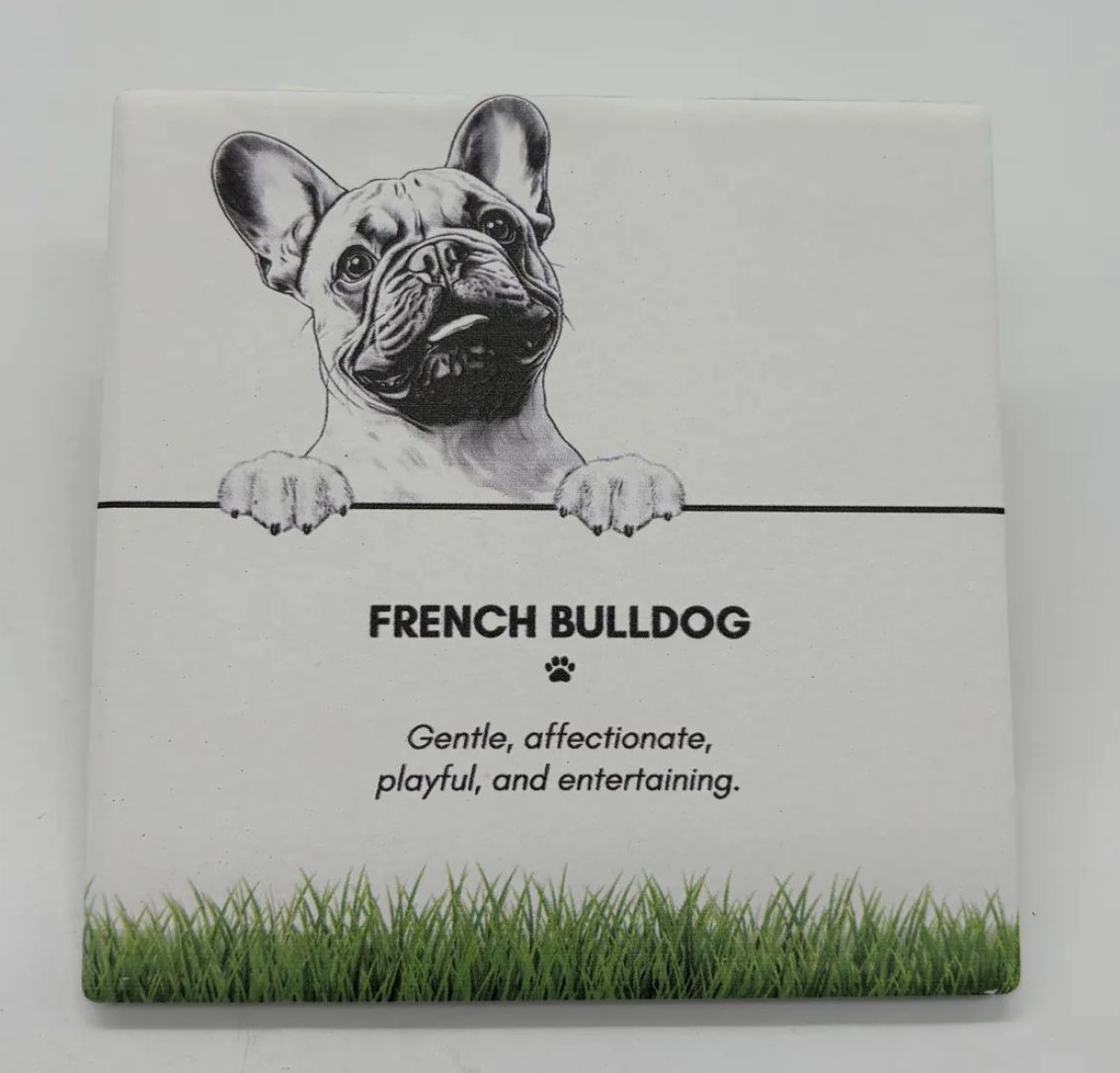 French Bulldog - Coaster