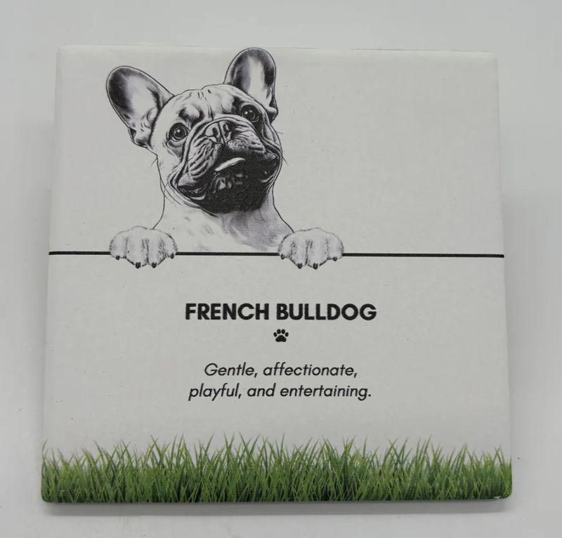 French Bulldog - Coaster