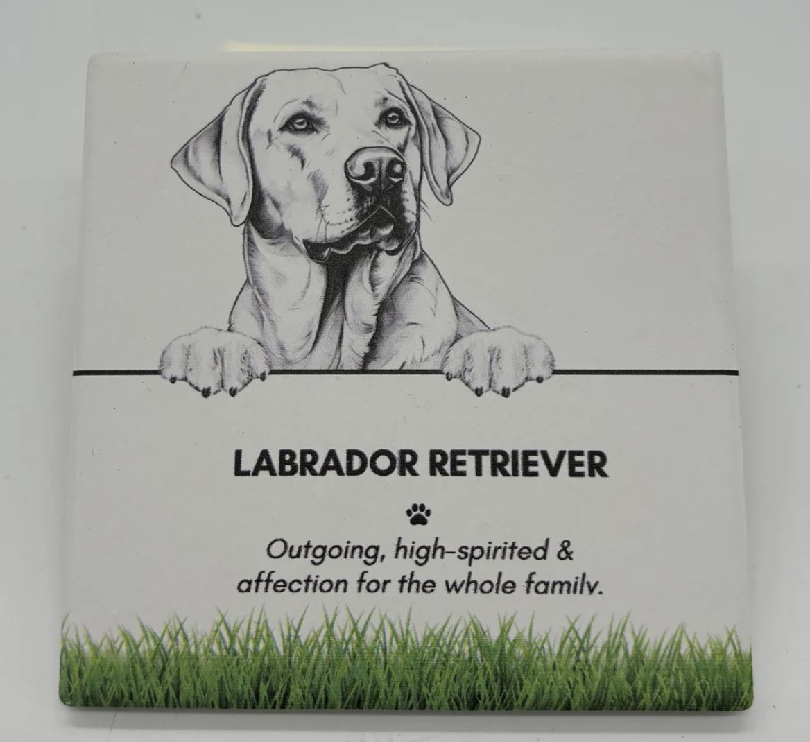 Labrador Retriever - Coaster