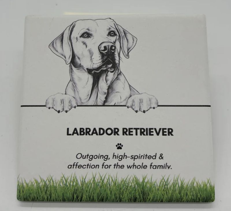 Labrador Retriever - Coaster