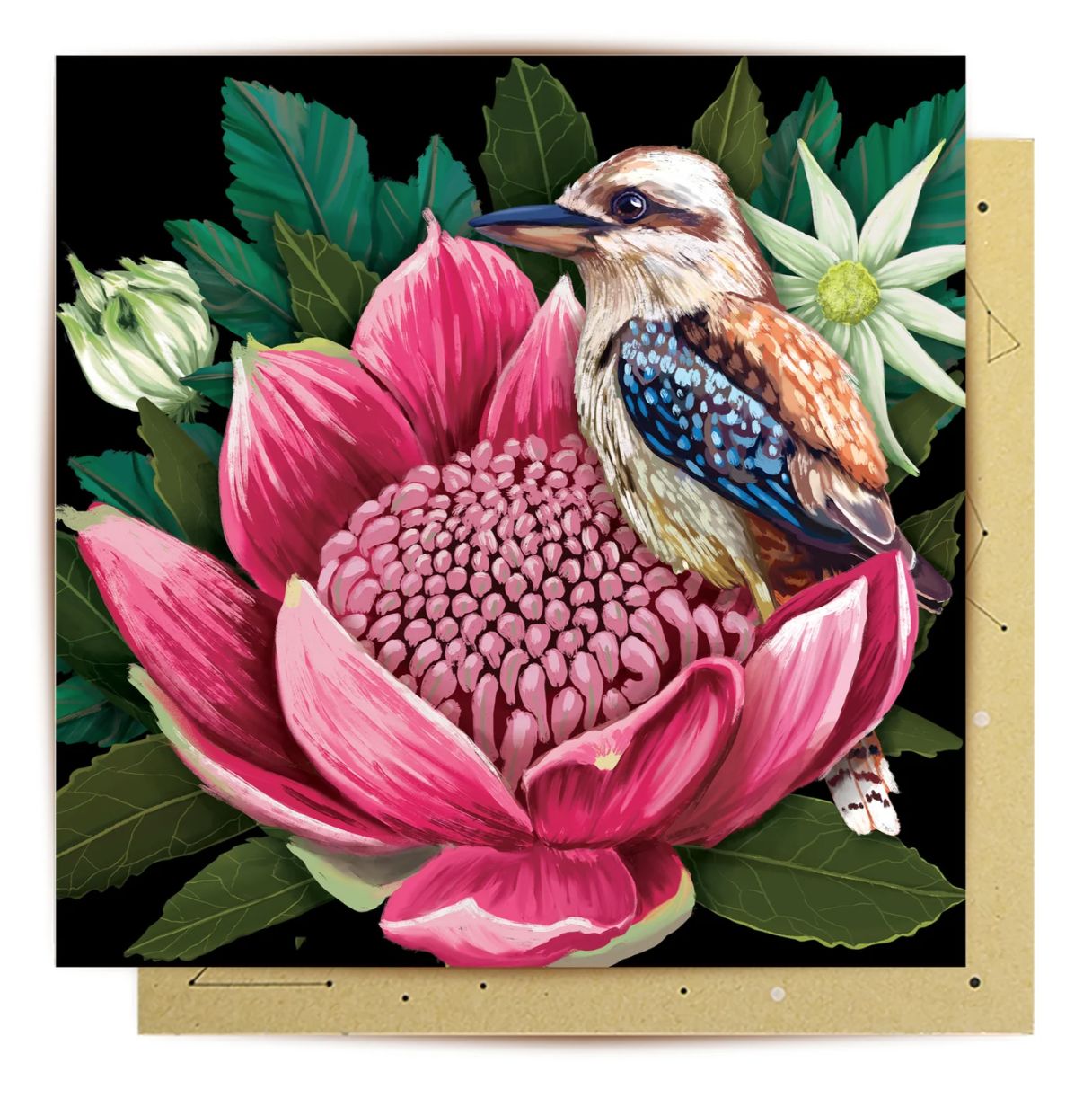 Good Evening Waratah - Greeting Card