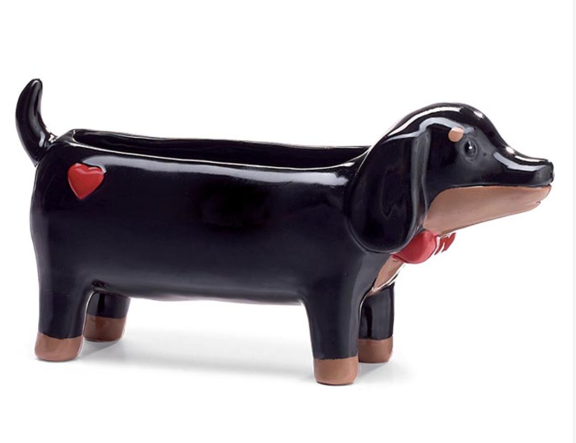 dachshund planter with plant