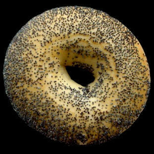 BAGEL POPPY SEEDS