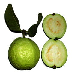 Guaiava