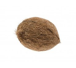 Coconuts