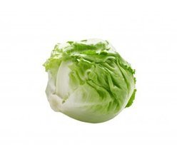 Lettuces