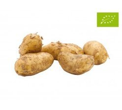 Potatoes