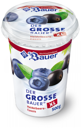 BAUER YOGURT BLUEBERRY FRUIT AND CASSIS XL 500g