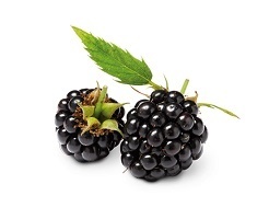 Berries