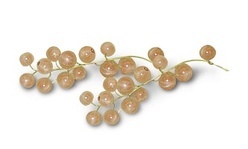 Other Berries