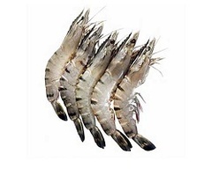 Prawns & Seafood