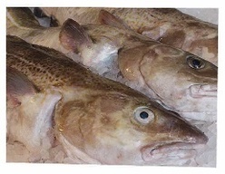Cod, Haddock & Pollock
