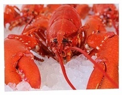 Other Fish & Seafood