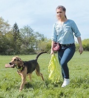 Dog Training & Sport Other