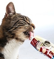 Cat Rewards