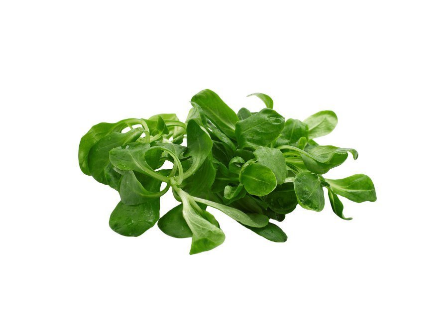 LAMBS&#39; LETTUCE  250g
