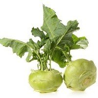 Other Bulb Vege