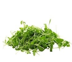 Other Salads