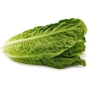ROMAINE LETTUCE FRESH 400g (2 per Pack)