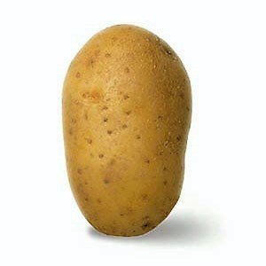 POTATO NATURELLA ALMERA BY RUGGIERO 2.5kg