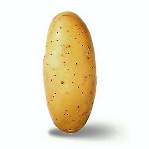 POTATO NATURELLA AMANDINE BY RUGGIERO 2.5kg