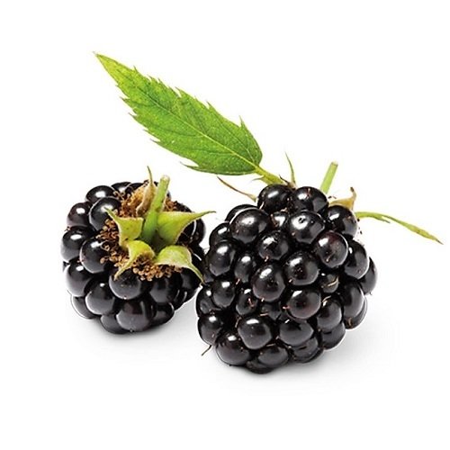 BLACKBERRIES CLASS I BY MONTANELLA 250g