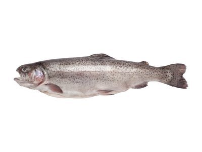 TROUT FRESH  350g