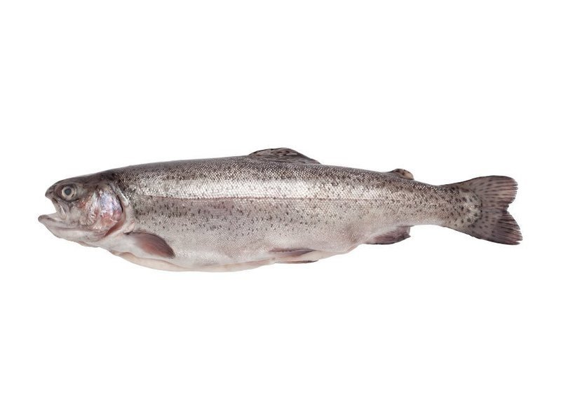TROUT FRESH  350g