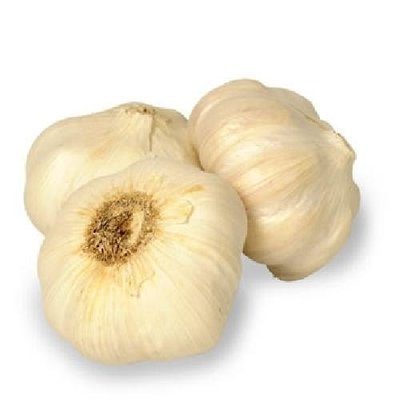 GARLIC WHITE CALIBRE 45mm - 60mm
