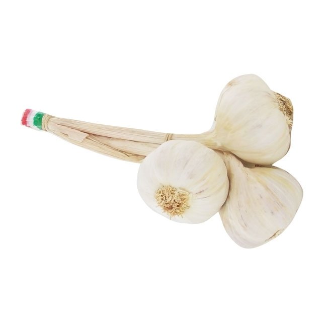 GARLIC WHITE CALIBRE 40mm - 60mm