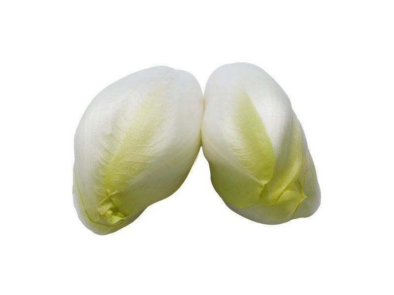 CHICORY YELLOW LOOSE  250g
