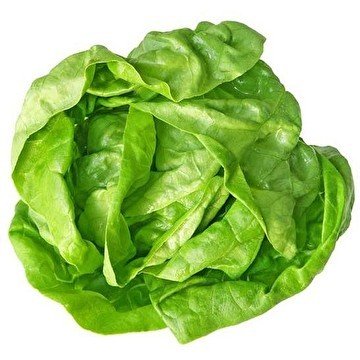BUTTER LETTUCE SALAD FRESH 200g