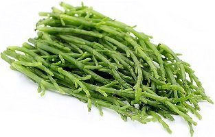 Seaweed
