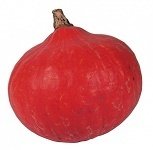 Other Vege