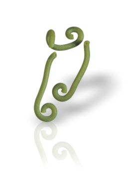 Other Pasta