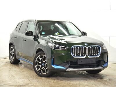 BMW iX 1 xDrive 30 SANREMO GREEN METALLIC (LHD) 02/2023
