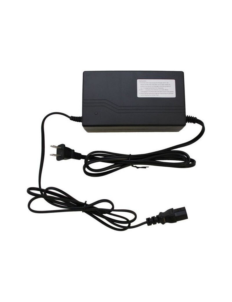 Chargeur 60 v 20 ah