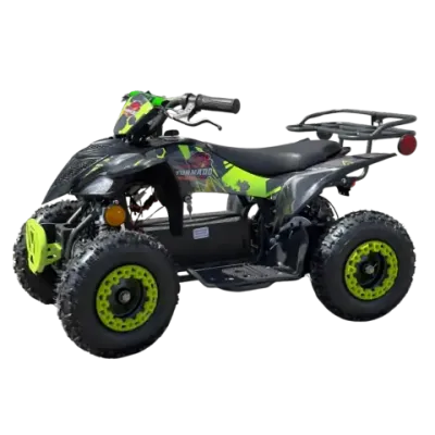 VTT -Gio Tornado 800w - vert