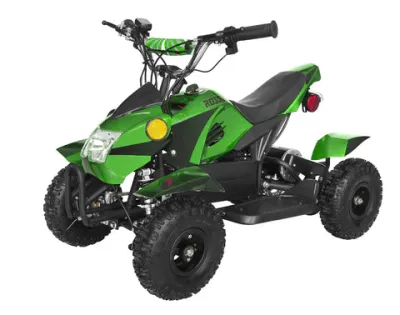 VTT - Gio MINI TRON 500w - vert