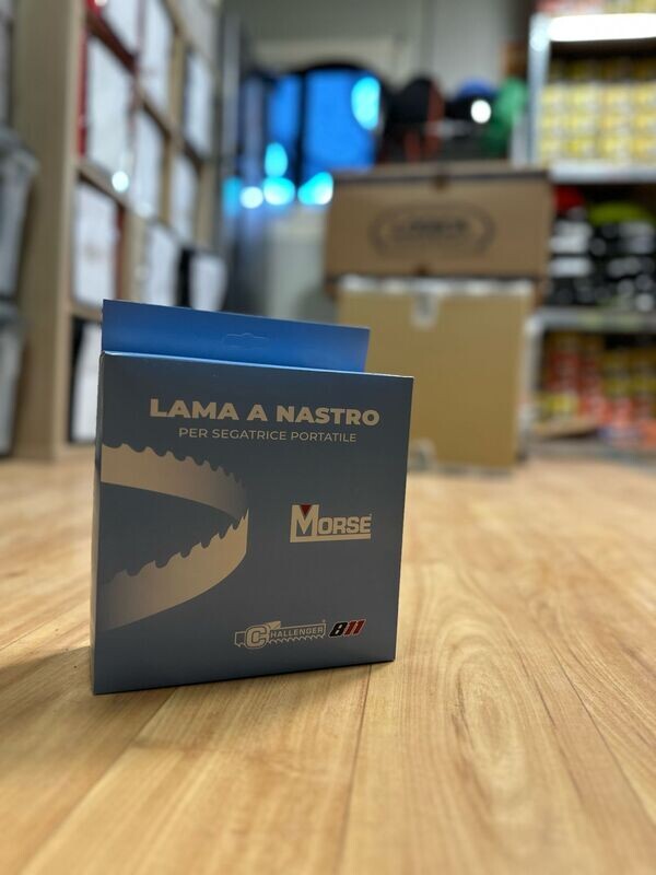 Lama a nastro 1140 x 13 x 0.6