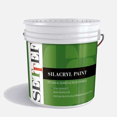 Silacryl Paint Base 9 da 13 lt