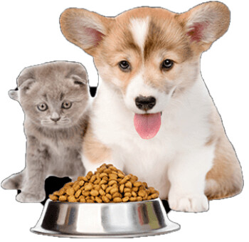 PET FOOD
