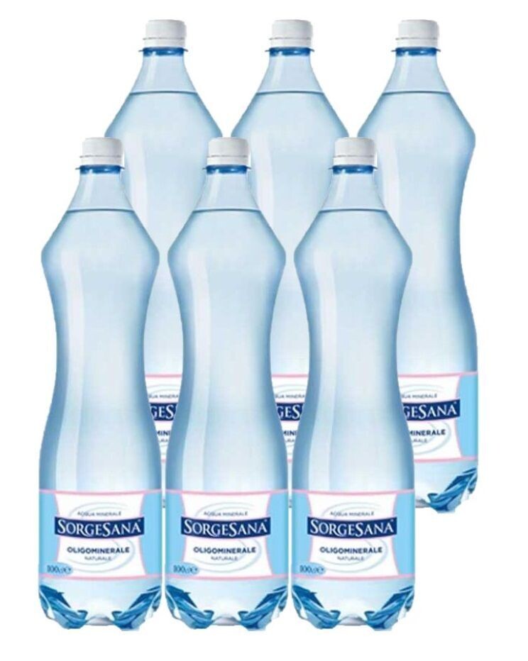 SORGESANA 1 LT X 6 CF