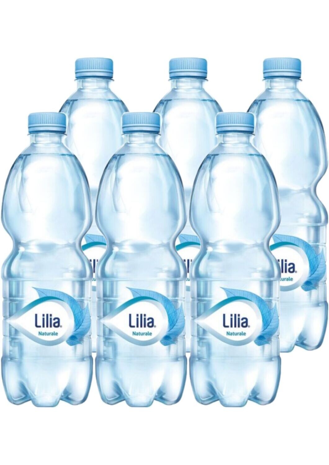 LILIA 50 CL X 6 CF