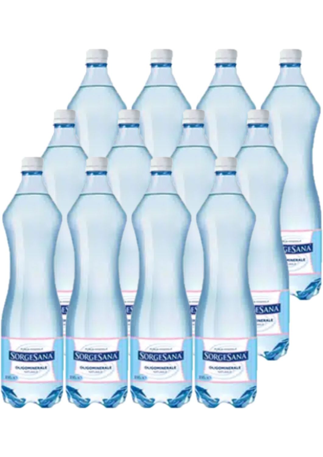 SORGESANA 1 LT X 12 CF
