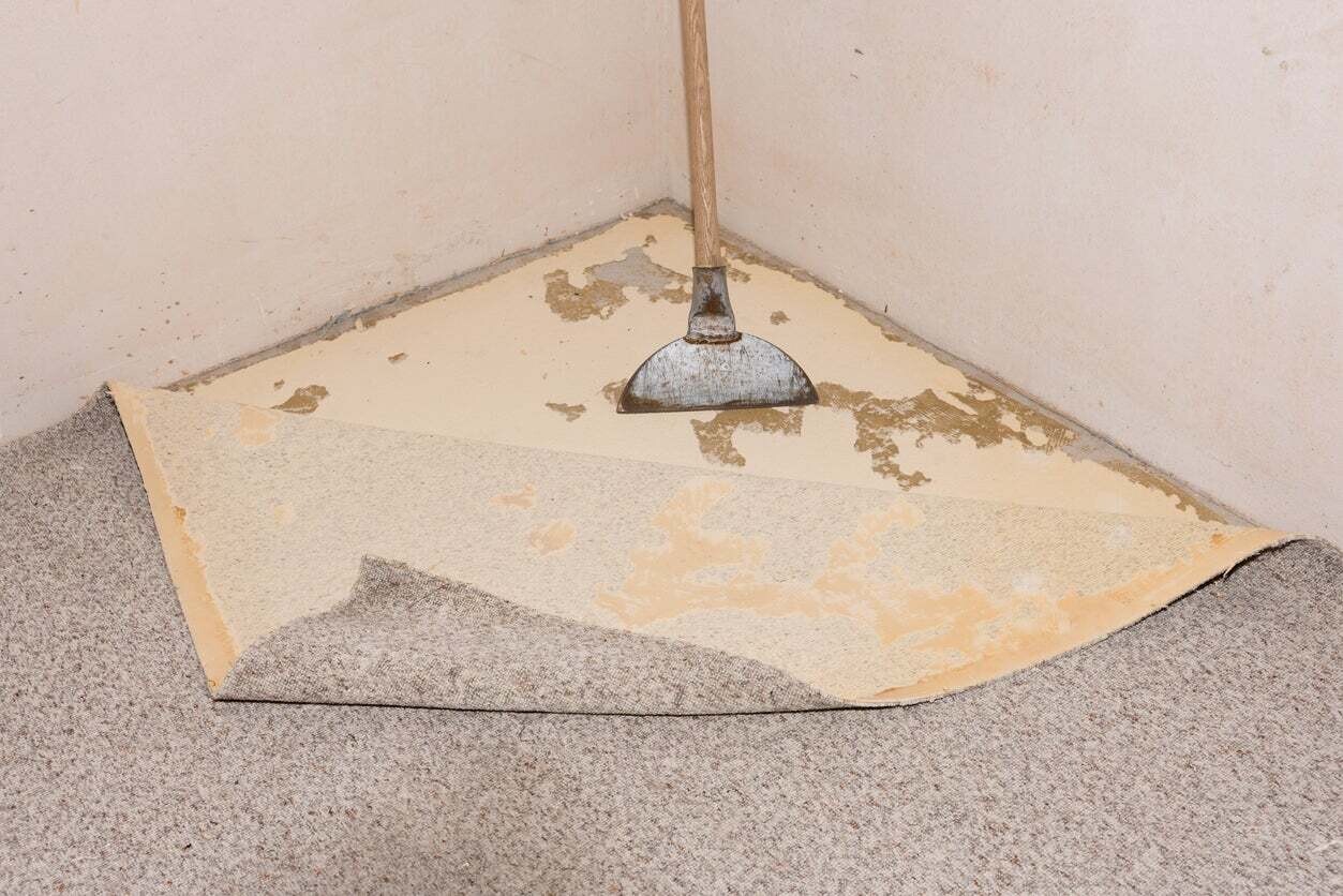 Carpet Removal and Instaling